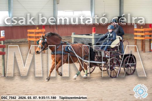 Mintakép 20260307-22