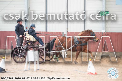 Mintakép 20260307-23