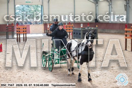 Mintakép 20260307-27
