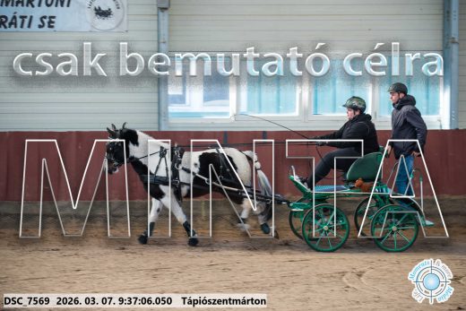 Mintakép 20260307-29