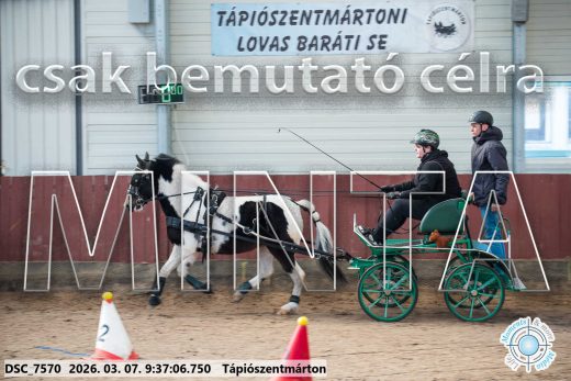 Mintakép 20260307-30