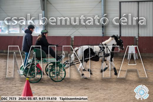 Mintakép 20260307-33