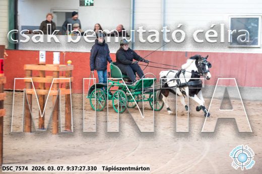 Mintakép 20260307-34