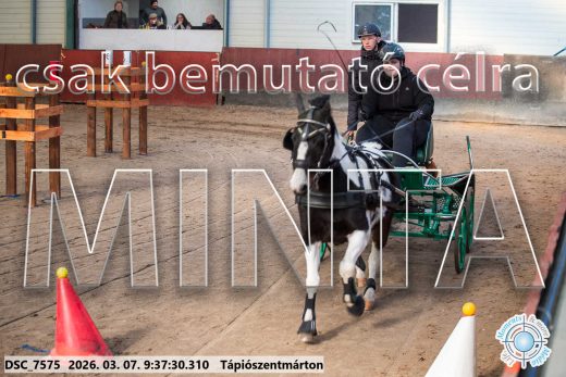 Mintakép 20260307-35