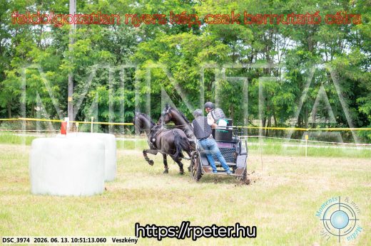 Mintakép 20260613-694