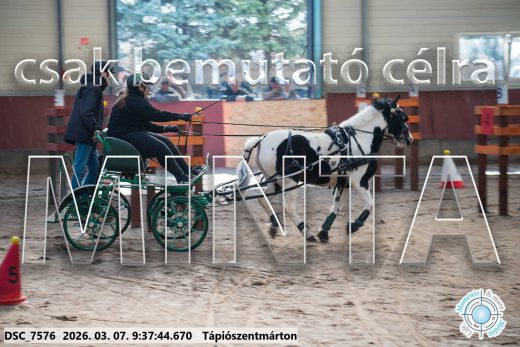 Mintakép 20260307-36