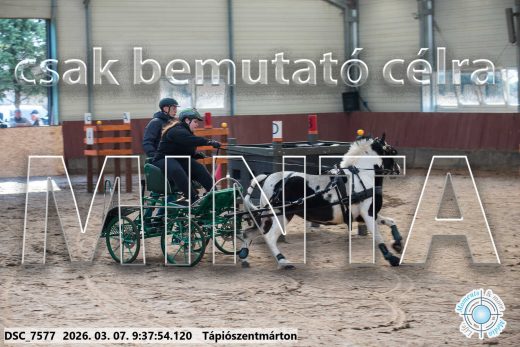 Mintakép 20260307-37