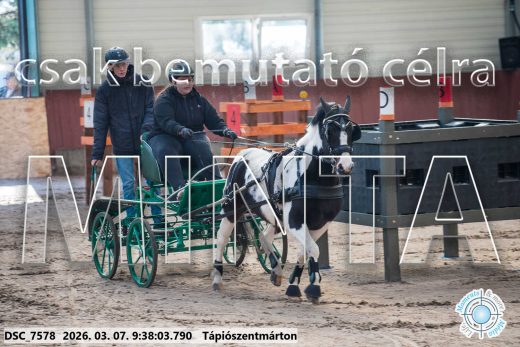 Mintakép 20260307-38