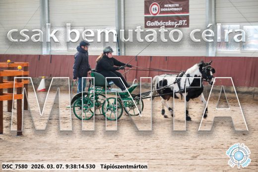 Mintakép 20260307-40