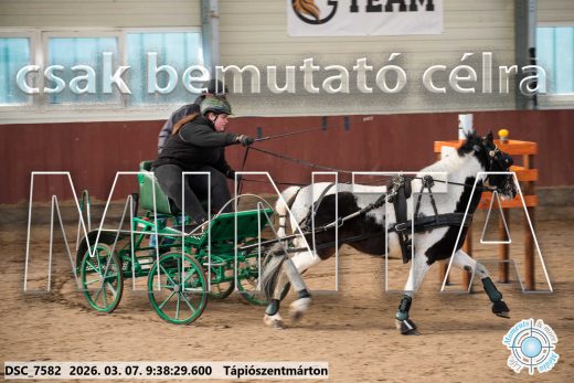 Mintakép 20260307-42