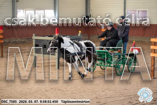 Mintakép 20260307-45