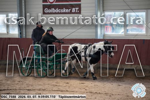 Mintakép 20260307-48