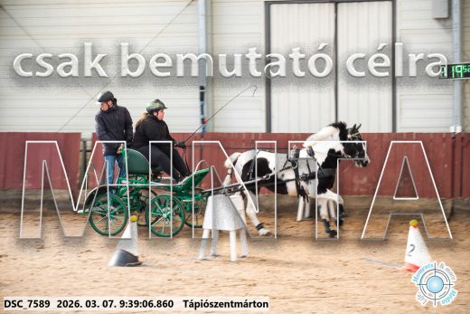 Mintakép 20260307-49