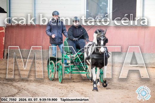 Mintakép 20260307-51