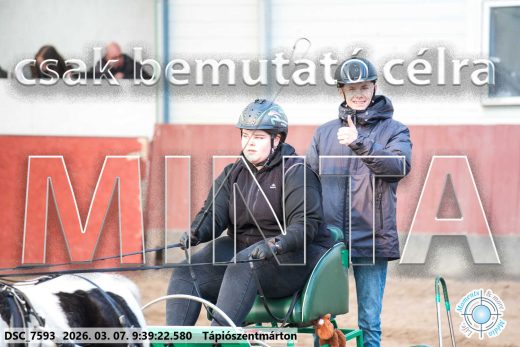 Mintakép 20260307-52