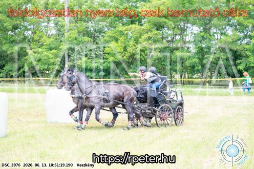 Mintakép 20260613-696