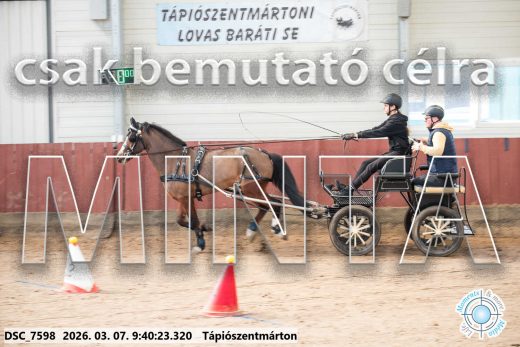 Mintakép 20260307-57
