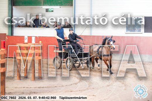 Mintakép 20260307-61