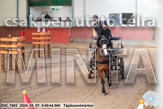 Mintakép 20260307-62