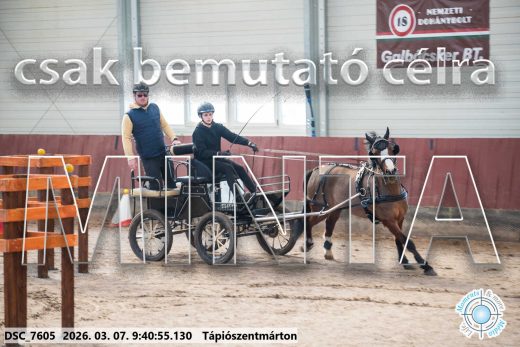 Mintakép 20260307-63