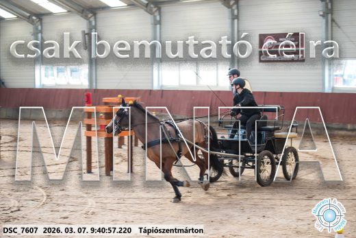 Mintakép 20260307-65