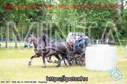 Mintakép 20260613-697