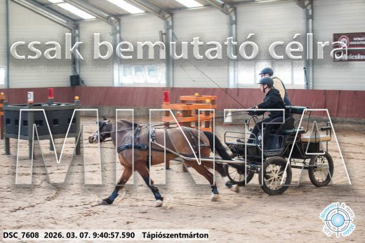 Mintakép 20260307-66