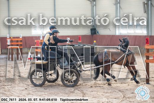 Mintakép 20260307-69
