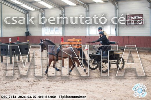 Mintakép 20260307-71