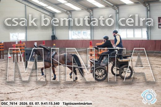 Mintakép 20260307-72