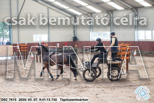 Mintakép 20260307-73