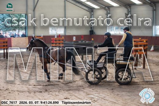 Mintakép 20260307-75