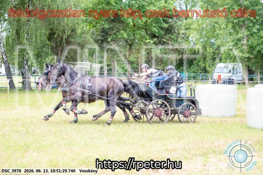 Mintakép 20260613-698