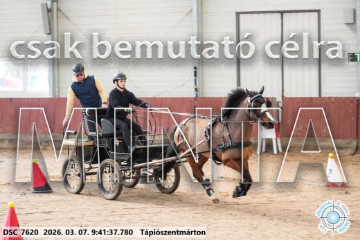 Mintakép 20260307-78
