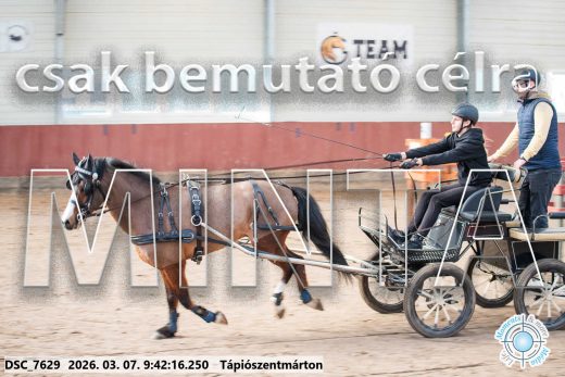 Mintakép 20260307-84