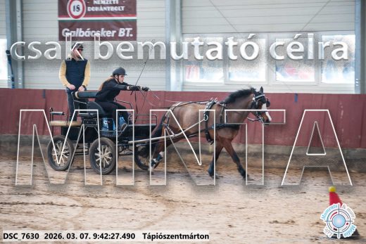 Mintakép 20260307-85