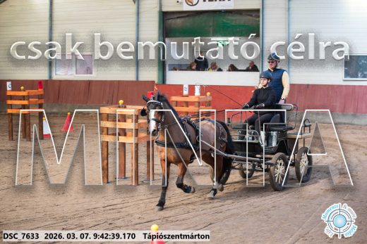 Mintakép 20260307-88