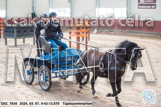 20260307-094313-DSC_7636.jpg