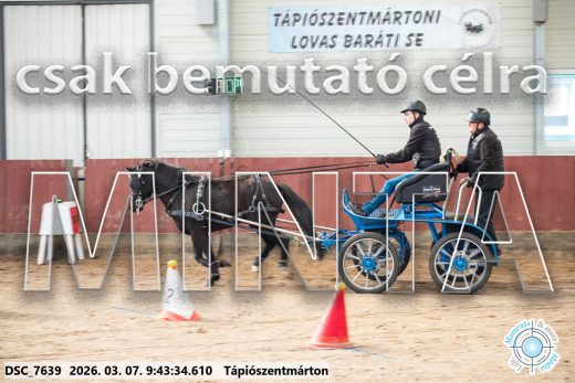 Mintakép 20260307-94
