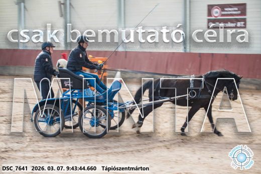 Mintakép 20260307-96