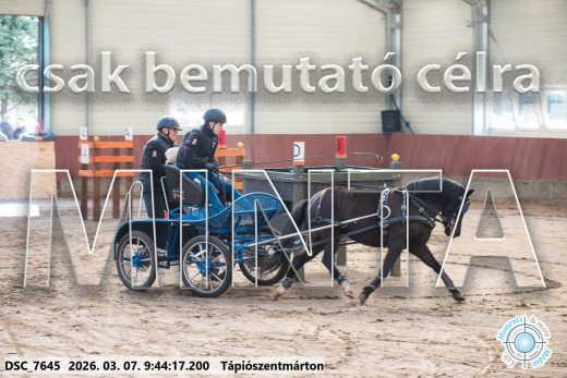 Mintakép 20260307-98