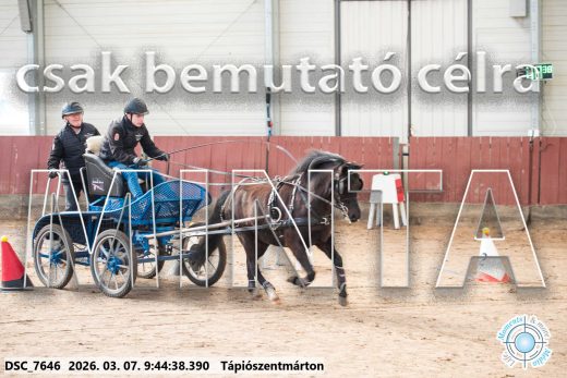 Mintakép 20260307-99
