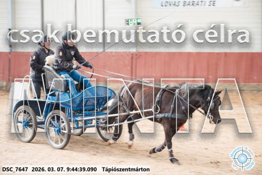 Mintakép 20260307-100