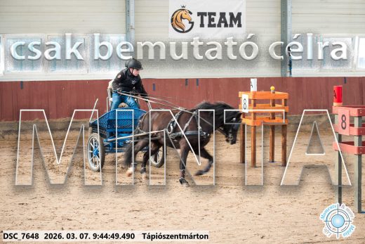 Mintakép 20260307-101