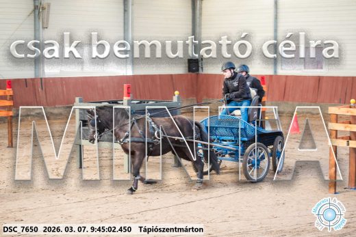 Mintakép 20260307-102