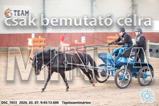 Mintakép 20260307-105