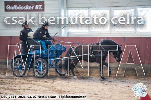 Mintakép 20260307-106