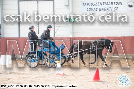 Mintakép 20260307-107
