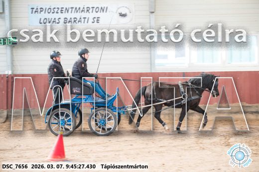 Mintakép 20260307-108