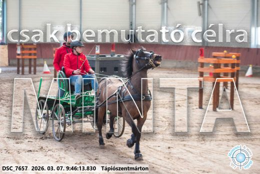 20260307-094613-DSC_7657.jpg